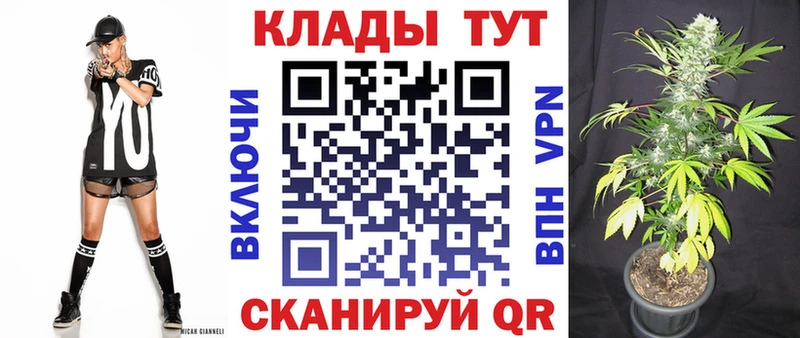 Как найти наркотики Грязовец ГАШ Амфетамин Меф мяу мяу Alpha-PVP Псилоцибиновые грибы Кокаин Канабис