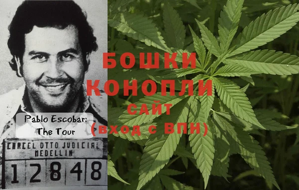 эйфоретик Арсеньев