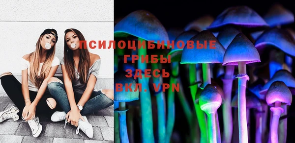 СК Алексеевка