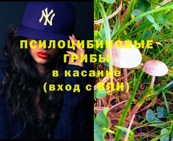 не бодяженный Алексин