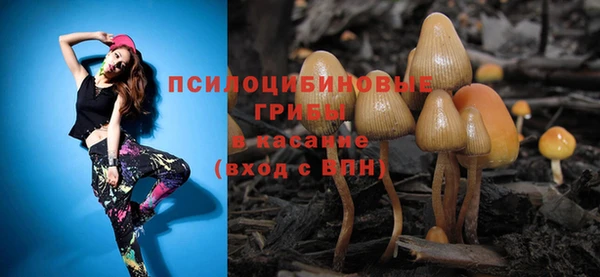 СК Алексеевка