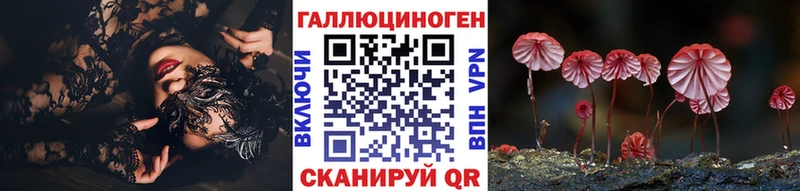 гидра ONION  Грязовец  Псилоцибиновые грибы мицелий 